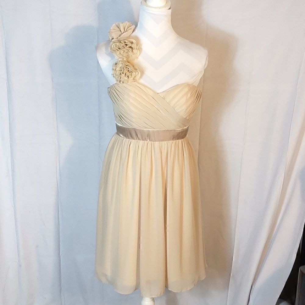 Bari Jay One Shoulder Chiffon Dress